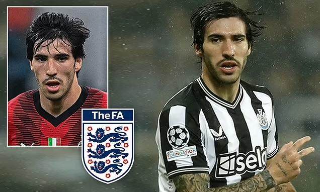 1711717993764070566.jpg 1711717984502.jpg