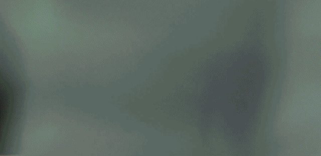 1667658826639080112.gif wangdalei.gif